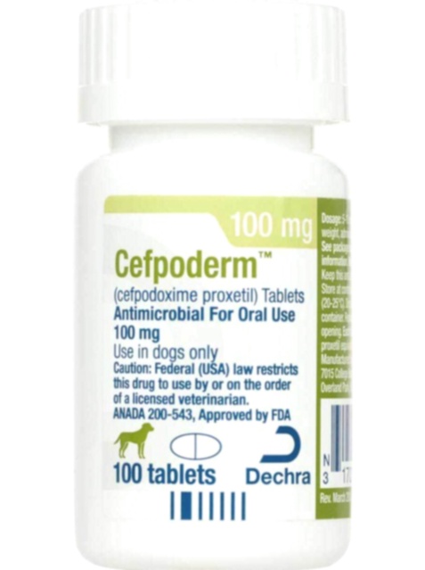 commander cefpodoxime générique